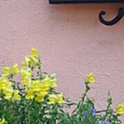 Flowers And Window Frame Poster