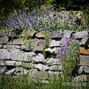 Flowers On Rock Wall Poster