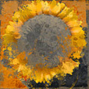 Flowersun - 09279gmn22b3ba13a Poster