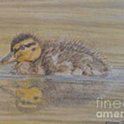 Fluffy Duckling Poster