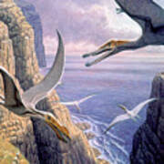 Flying Pterosaurs Poster