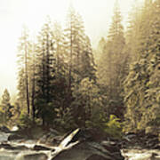 Foggy Sky Over Spring Creek In Yosemite Poster