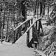 Foot Bridge In Winter Poster