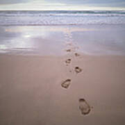Foot Prints In Sand Leading From Sea Poster