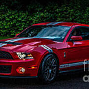 Ford Mustang Gt 500 Cobra Poster