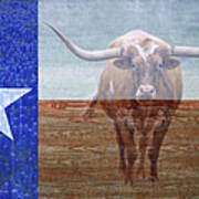 Forever Texas Poster