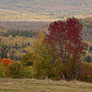 Fort Stewart Autumn Landscape Poster