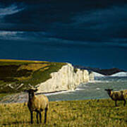 Four Sheep And Seven Sisters Poster