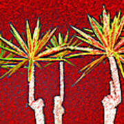 Four Yuccas In Red Poster