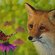 Fox And Butterfly Poster