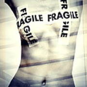 Fragile Poster