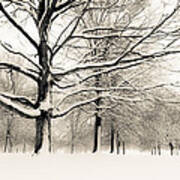 Francis Park In Snow Poster