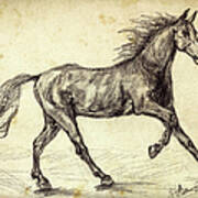 Freehand Graphite Horse Study Poster