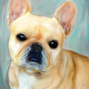 French Bulldog Mystique D'or Poster