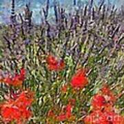 French Lavender Field Poster