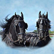 Friesians Flying Poster