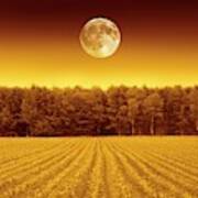 Full Moon Over A Field Poster