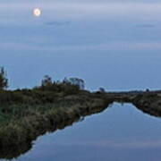 Full Moon Rising Over The Marsh Poster