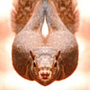 Flying Funky Brown Squirrel Poster