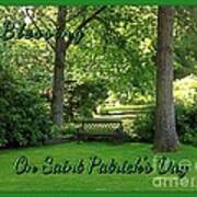 Garden Bench On Saint Patrick's Day Poster