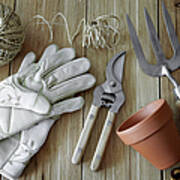 Gardening Tools, Still Life Poster