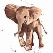 Gentle Graham Elephant Poster