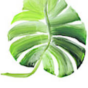 Giant Palm Leaf I Poster