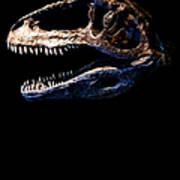 Giganotosaurus Skull 2 Poster