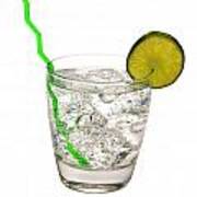Gin And Tonic With Lime And Swizzle Stick Isolated Poster