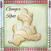 Ginger Root Poster