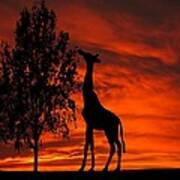 Giraffe Sunset Silhouette Series Poster