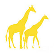 Giraffes In Golden And White Poster