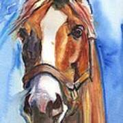 Horse Painting Of California Chrome Go Chrome Poster