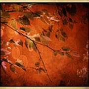Golden Leaves-1 Poster