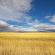 Klamath Basin Grasses And Clouds Poster