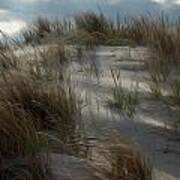 Grassy Dunes Poster