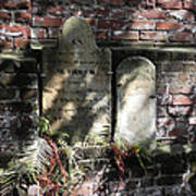 Grave Stones With Fern Poster