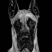 Great Dane Poster