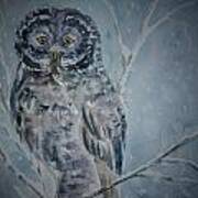 Great Gray Owl Dark Of Night Poster