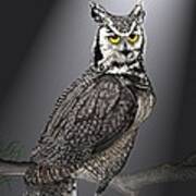 Owl, Great Horned Poster