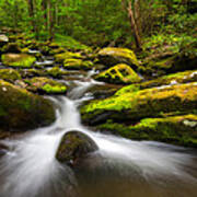 Great Smoky Mountains Gatlinburg Tn Lush Poster