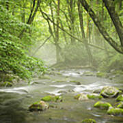 Great Smoky Mountains Nc Misty Mountain Flow Poster