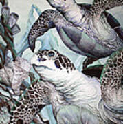 Green Loggerhead Poster