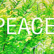 Green Peace Poster