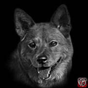 Greyscale Shiba Inu Dog Art - 8555 - Bb Poster