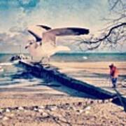 #gull #beautiful #bird #seagull #water Poster