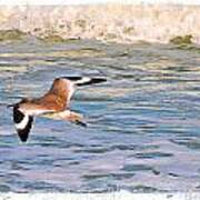 Gull Flying Over Surf Poster