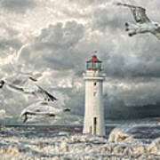 Gulls At Perch Rock Poster