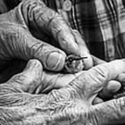 Hands Holding A Hummingbird Poster