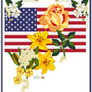 Happy Birthday America 2013 Poster